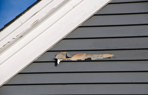 Best Residential Junk Removal  in Saranac Lake, NY